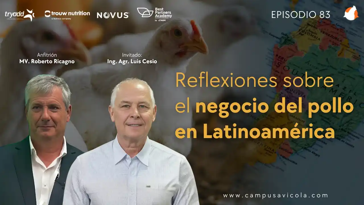 AviPodcast #83 – Reflexiones sobre el negocio del pollo en Latinoamérica - Ing. Agr. Luis Cesio.