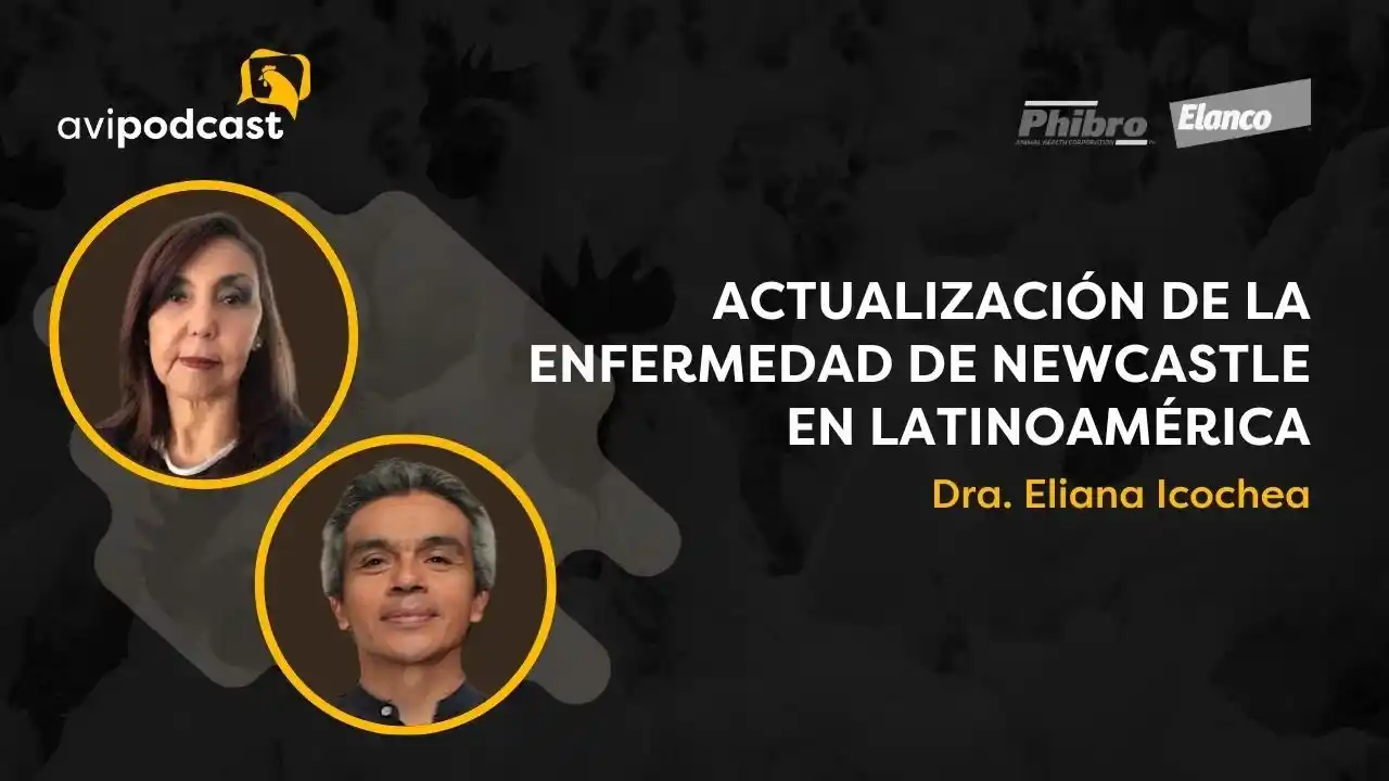 Actualización de la enfermedad de NewCastle en Latinoamérica - Dr. Eliana Icochea.