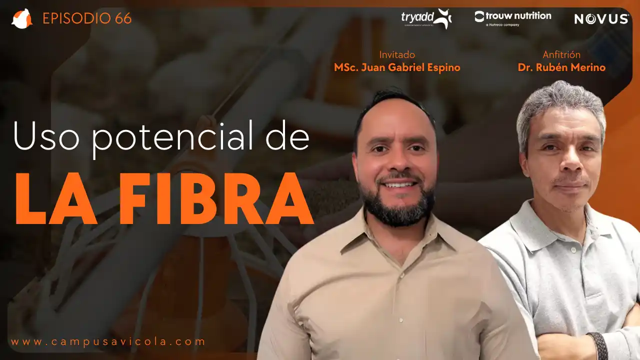 AviPodcast #66 – La fibra: Un componente esencial pero a menudo subestimado – M.Sc. Juan Gabriel Espino.