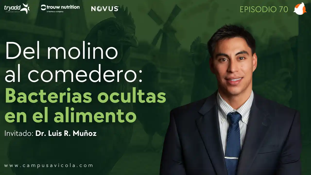 AviPodcast #70 – Contaminación bacteriana en alimento balanceado: Cómo prevenirla – Dr. Luis R. Muñoz.