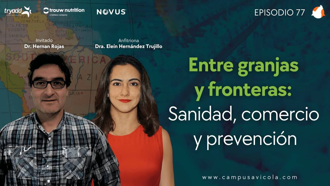 AviPodcast #77 – Sanidad, comercio y prevención en la avicultura: Entre granjas y fronteras - Dr. Hernán Rojas.