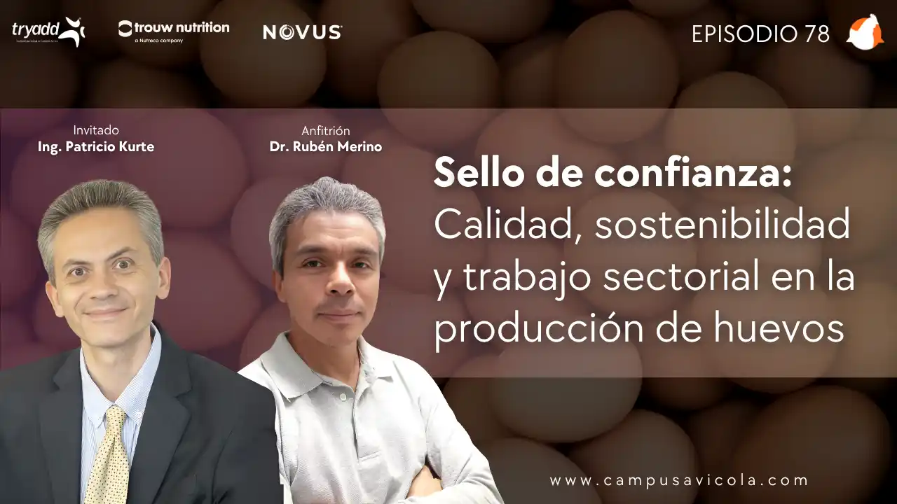 AviPodcast #78 – Sello de confianza: Trabajo sectorial en la producción de huevos - Ing. Patricio Kurte.