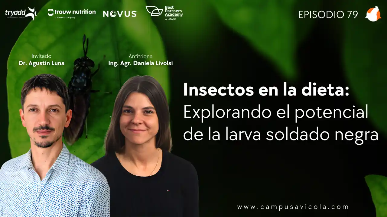 AviPodcast #79 – Insectos en la dieta: Explorando el potencial de la larva soldado negra - Dr. Agustín Luna.