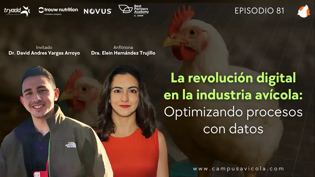 AviPodcast #81 – Revolución digital en avicultura: Optimizando procesos con datos - Dr. David A. Vargas Arroyo.