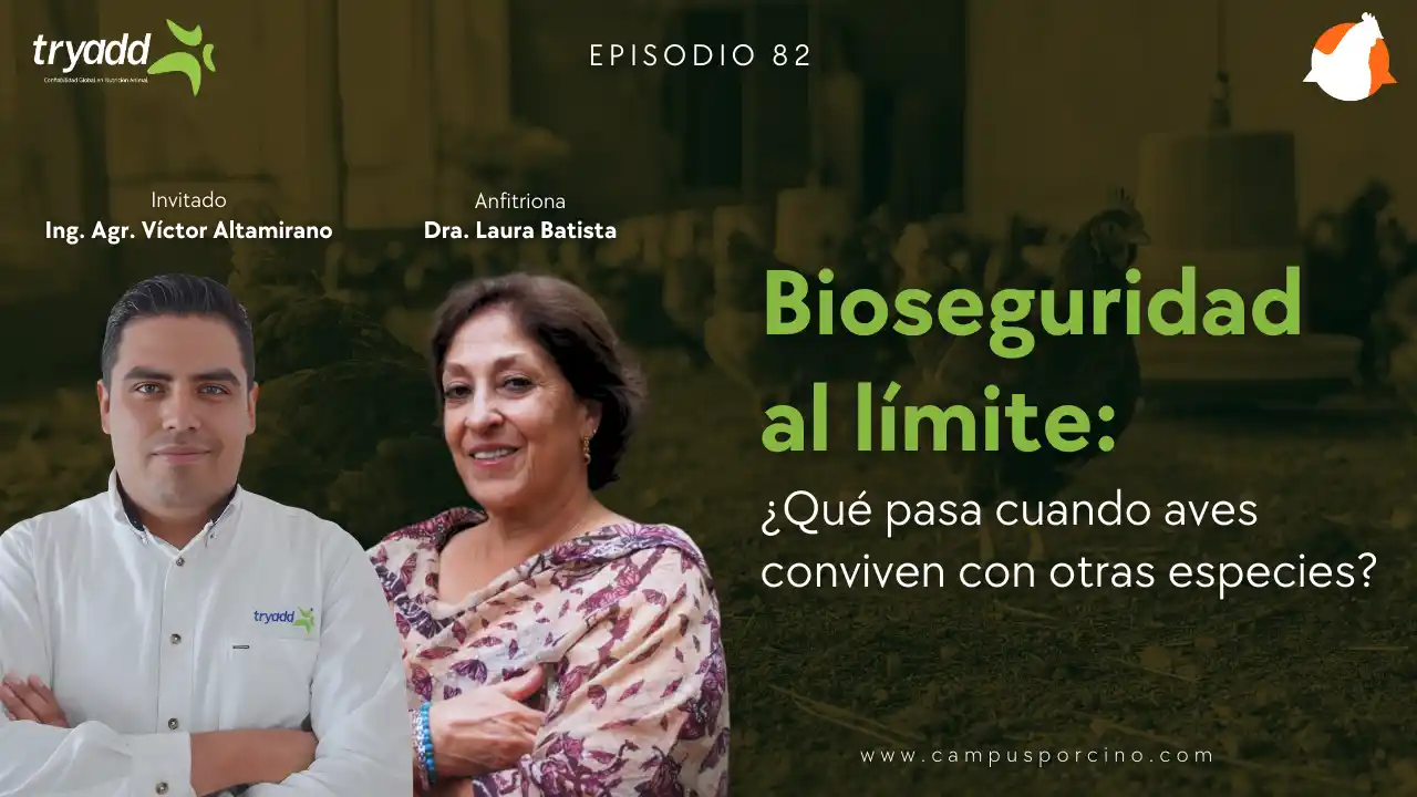 AviPodcast #82 – Producción multiespecie: Riesgos, retos y soluciones - Ing. Agr. Víctor Altamirano.