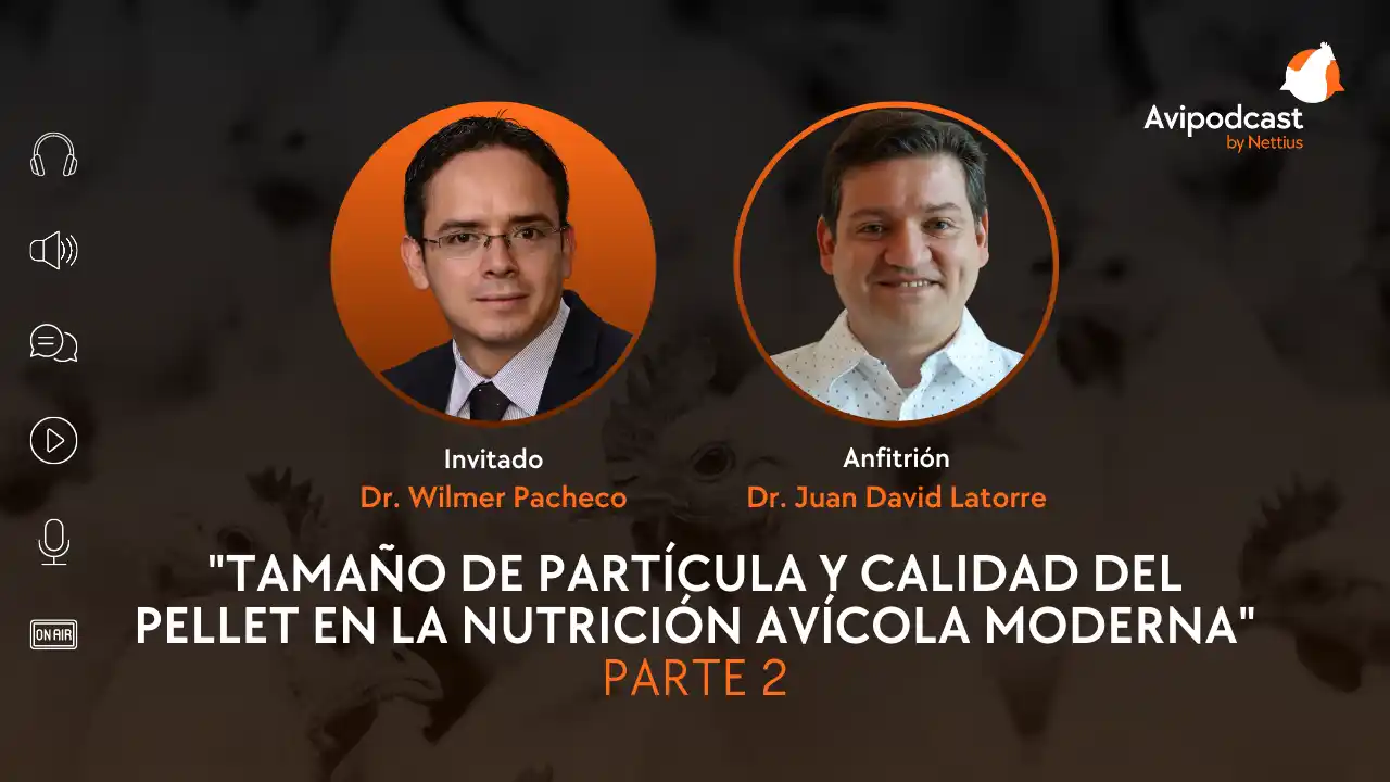 AviPodcast #25 – Tamaño de partícula y calidad del pellet en la nutrición avícola moderna – parte 2 – Dr. Wilmer Pacheco.
