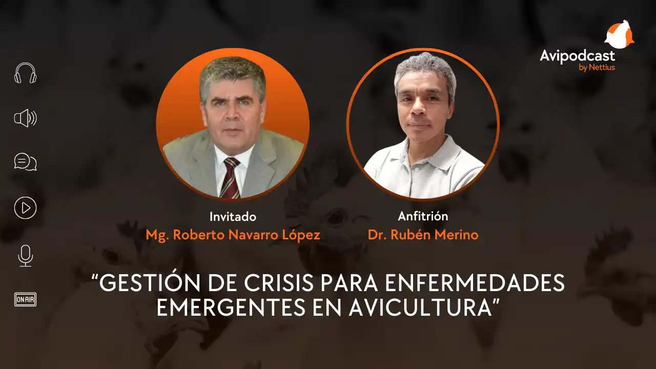 AviPodcast #29 – Gestión de crisis para enfermedades emergentes en avicultura – Mg. Roberto Navarro López.
