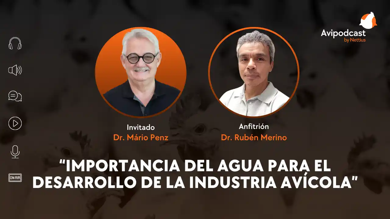 AviPodcast #30 – Importancia del agua para el desarrollo de la industria avícola – Dr. Mário Penz.