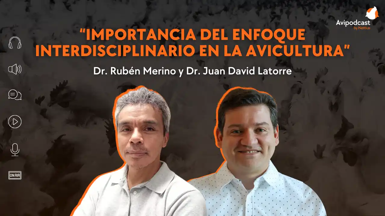 AviPodcast #31 – Importancia del enfoque interdisciplinario en la avicultura – Dr. Rubén Merino.