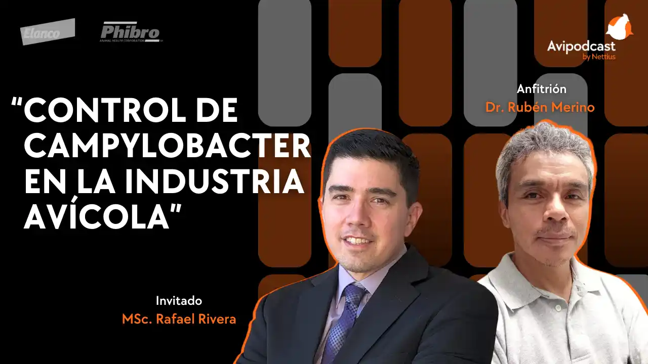 AviPodcast #32 – Control de Campylobacter en la industria avícola – MSc. Rafael Rivera.