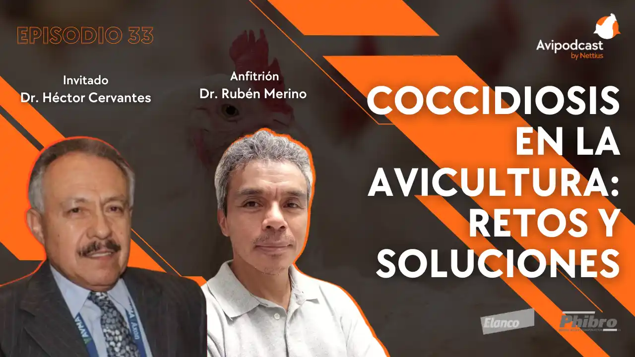 AviPodcast #33 – Coccidiosis en la avicultura: Retos y soluciones - Dr. Héctor Cervantes.