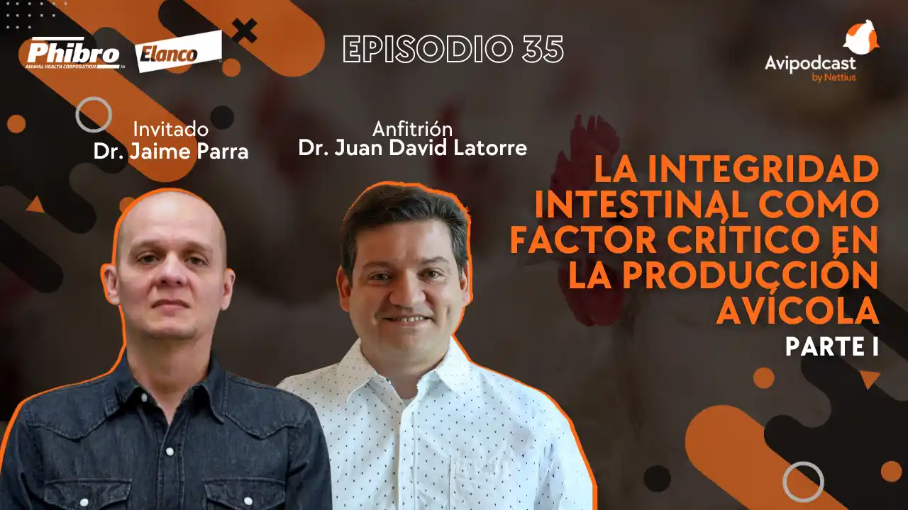AviPodcast #35 – La integridad intestinal como factor crítico en la producción avícola – Dr. Jaime Parra Parte I.