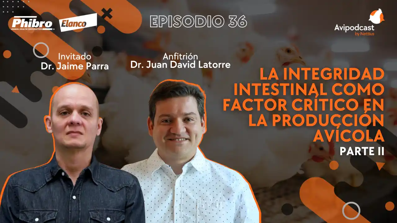 AviPodcast #36 – Integridad intestinal como factor crítico en la producción avícola – Dr. Jaime Parra Parte II.
