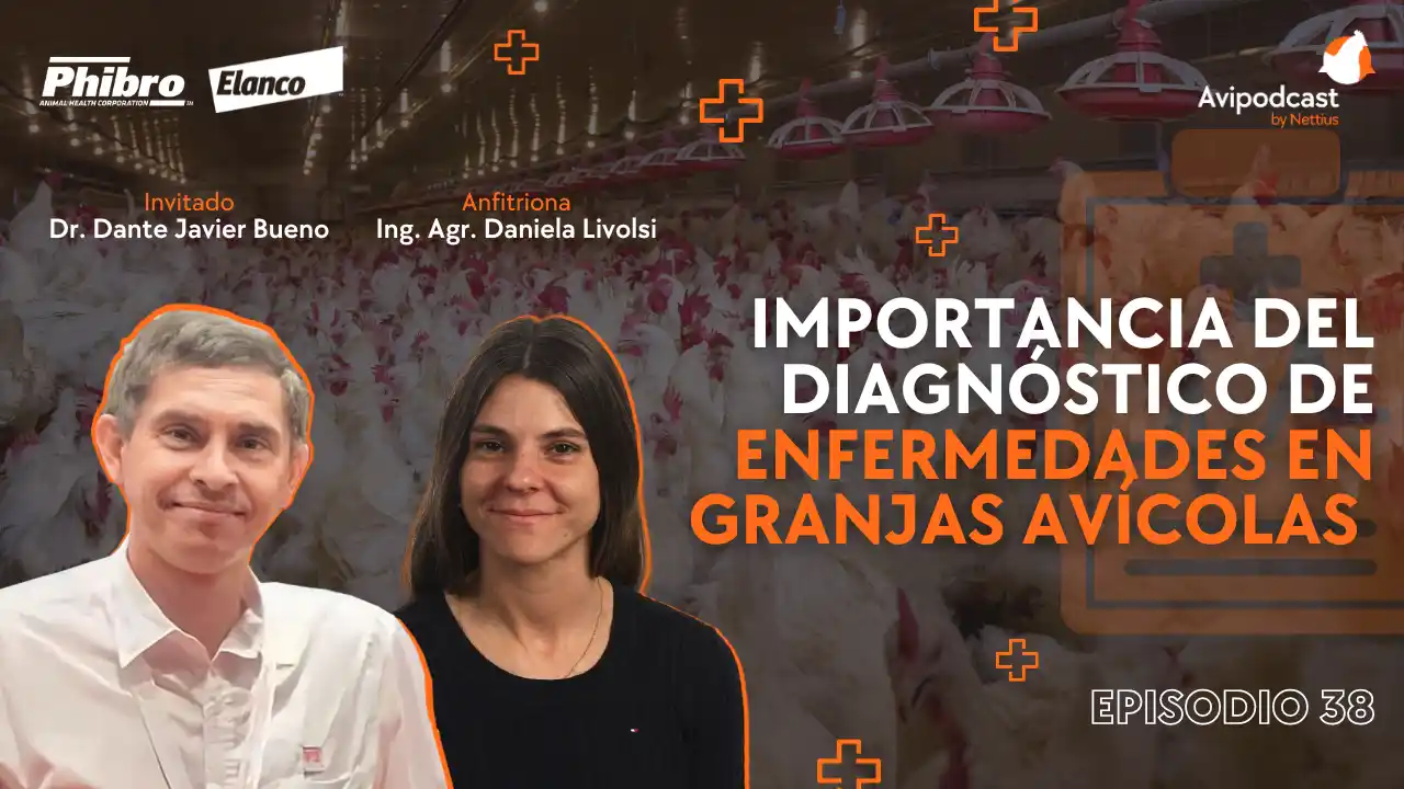 AviPodcast #38 – Diagnóstico de enfermedades en granjas avícolas – Dr. Dante Javier Bueno.