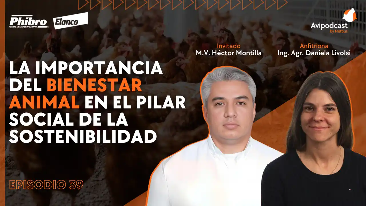AviPodcast #39 – Bienestar animal como pilar social de la sostenibilidad – Héctor Montilla.
