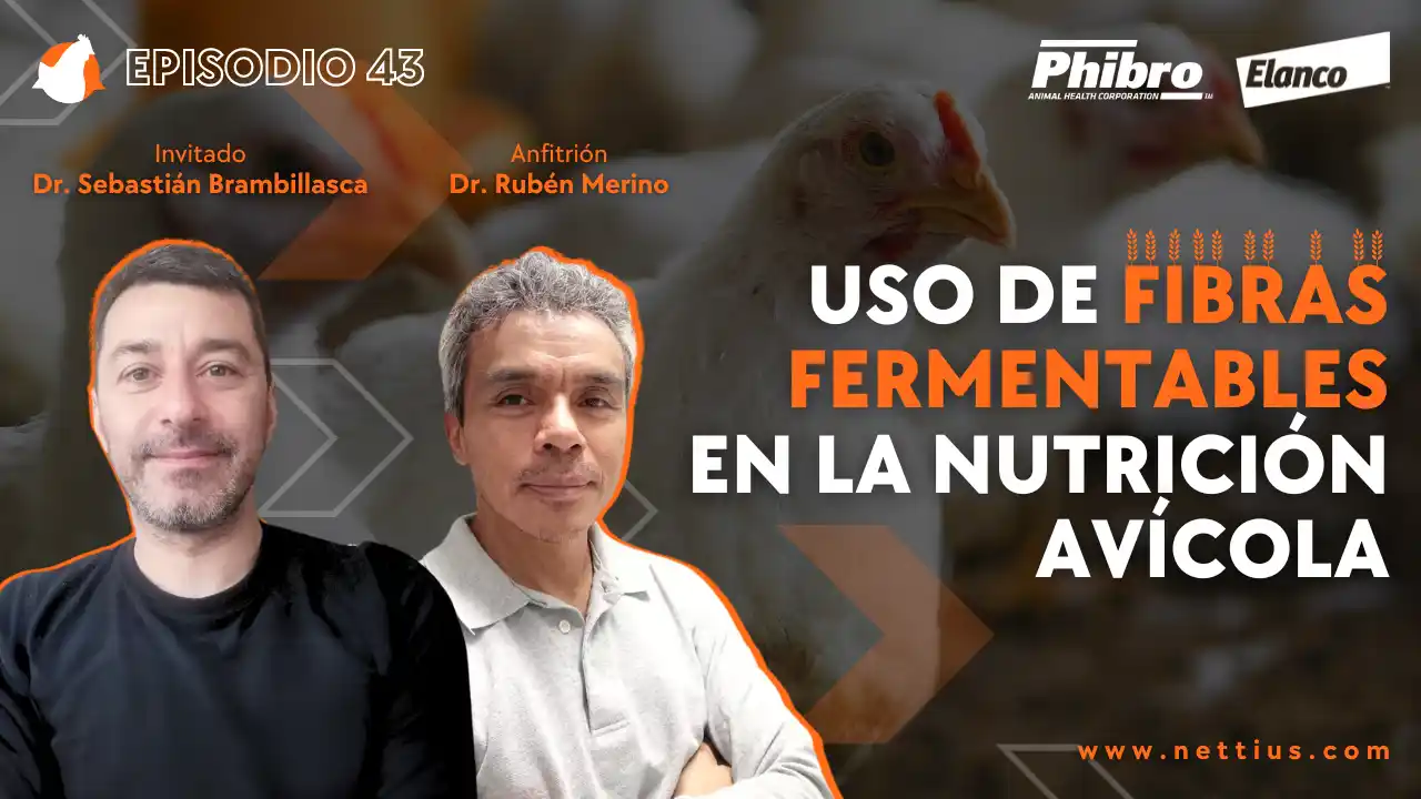 AviPodcast #43 – Uso de fibras fermentables en la nutrición avícola – Dr. Sebastián Brambillasca.