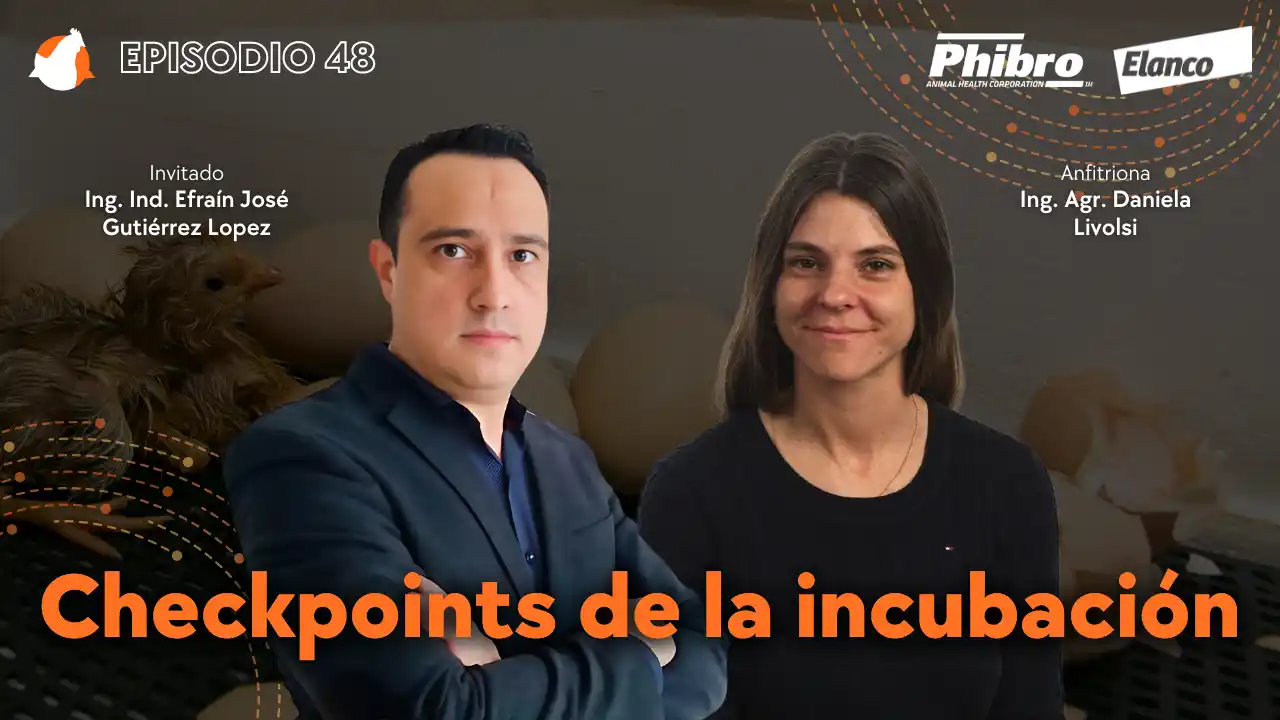 AviPodcast #48 – Puntos claves en el proceso de incubación – Ing. Ind. Efraín José Gutiérrez López.
