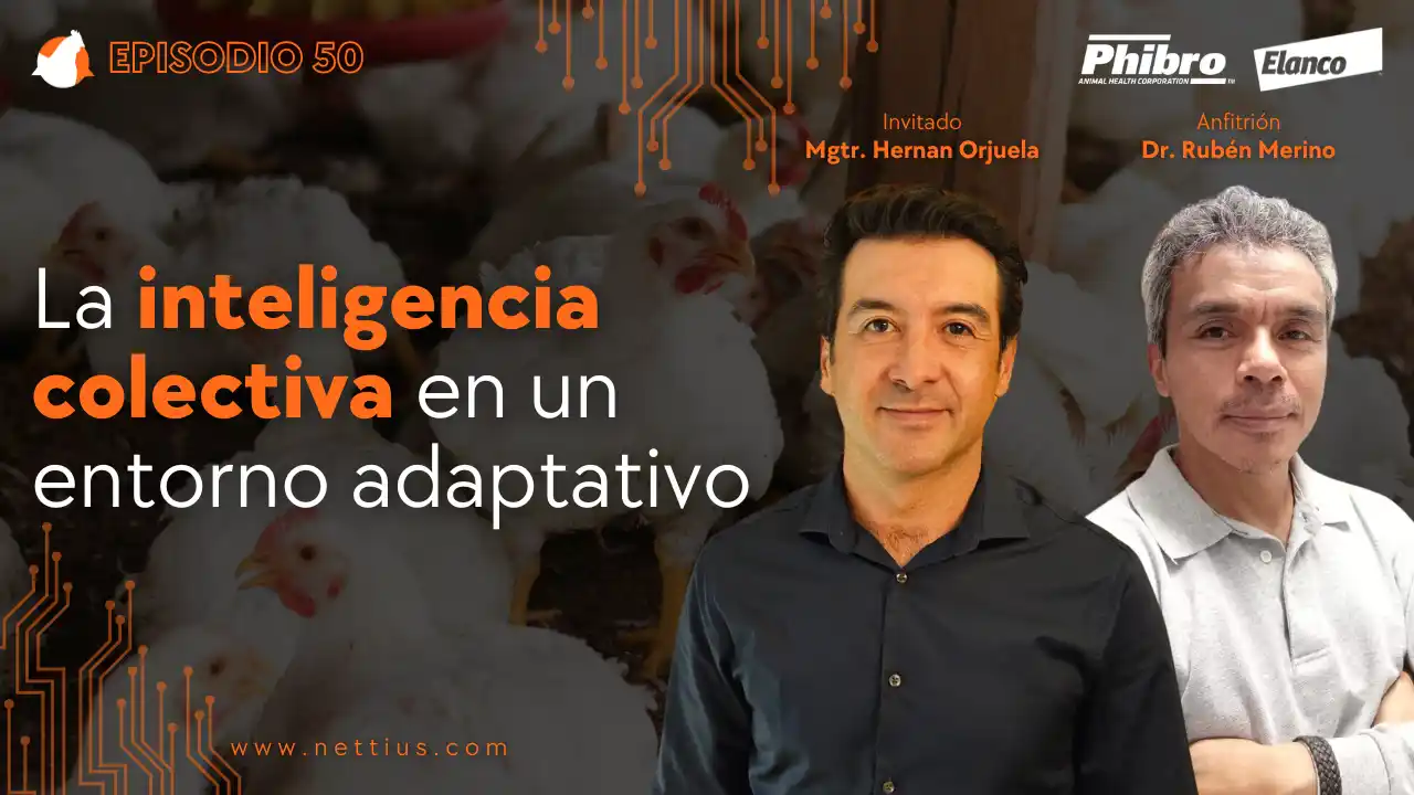 AviPodcast #50 – La inteligencia colectiva en un entorno adaptativo – Mgtr. Hernan Orjuela.