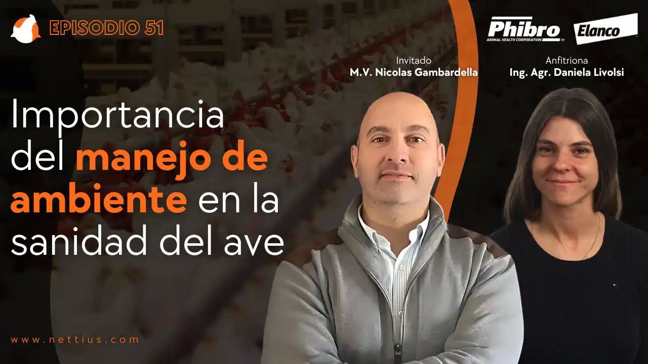 AviPodcast #51 – Importancia del manejo de ambiente en la sanidad del ave – M.V. Nicolás Gambardella.