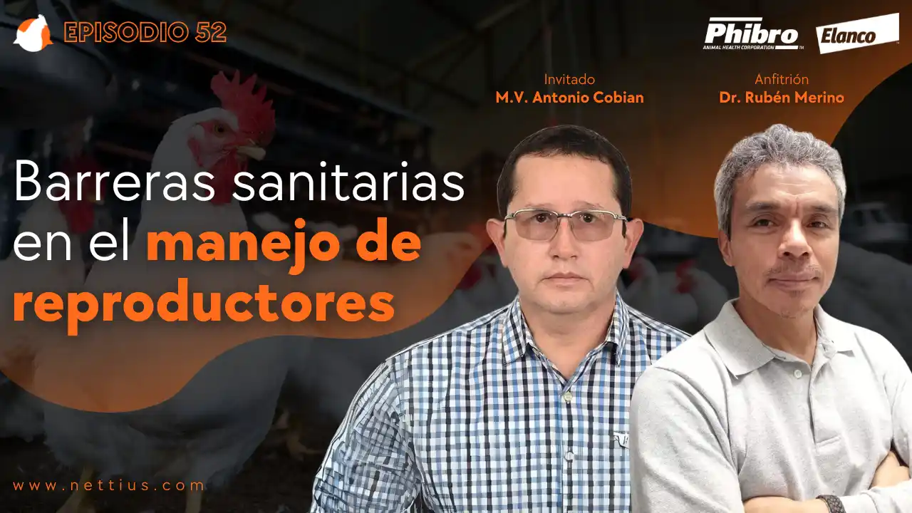 AviPodcast #52 – Barreras sanitarias en el manejo de reproductores – M.V. Antonio Cobian.