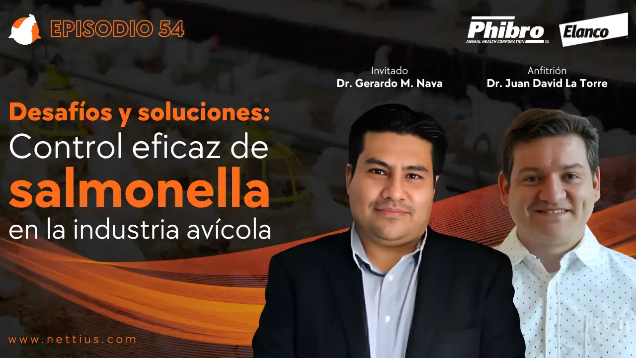 AviPodcast #54 – Control de Salmonella en la industria avícola – Dr. Gerardo M. Nava.
