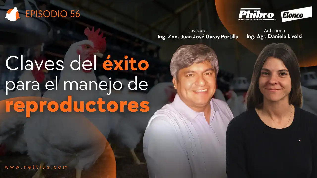 AviPodcast #56 – Claves del éxito para el manejo de reproductores – Ing. Zoo. Juan José Garay Portilla.