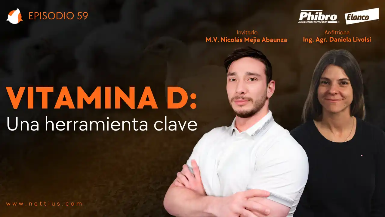 AviPodcast #59 – Vitamina D: Una herramienta clave – M.V. Nicolás Mejía Abaunza.