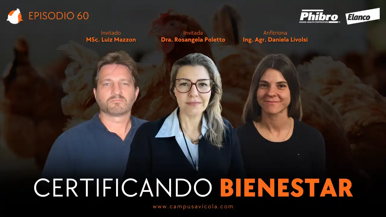 AviPodcast #60 – Certificando Bienestar – MSc. Luiz Mazzon y Dra. Rosangela Poletto.