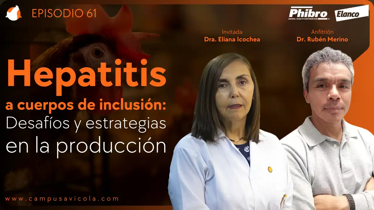 AviPodcast #61 – Hepatitis a cuerpos de inclusión: Desafíos y estrategias en la producción – Dra. Eliana Icochea.