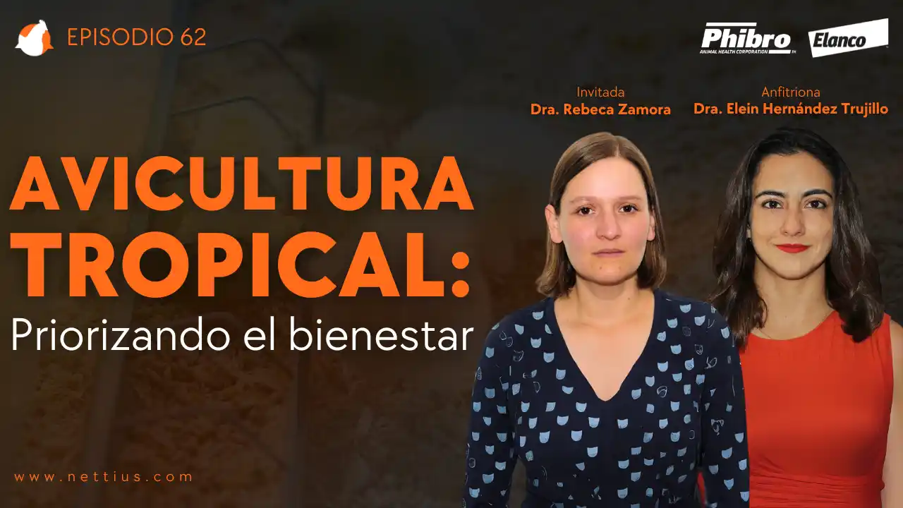 AviPodcast #62 – Avicultura Tropical: Priorizando el Bienestar – Rebeca Zamora.