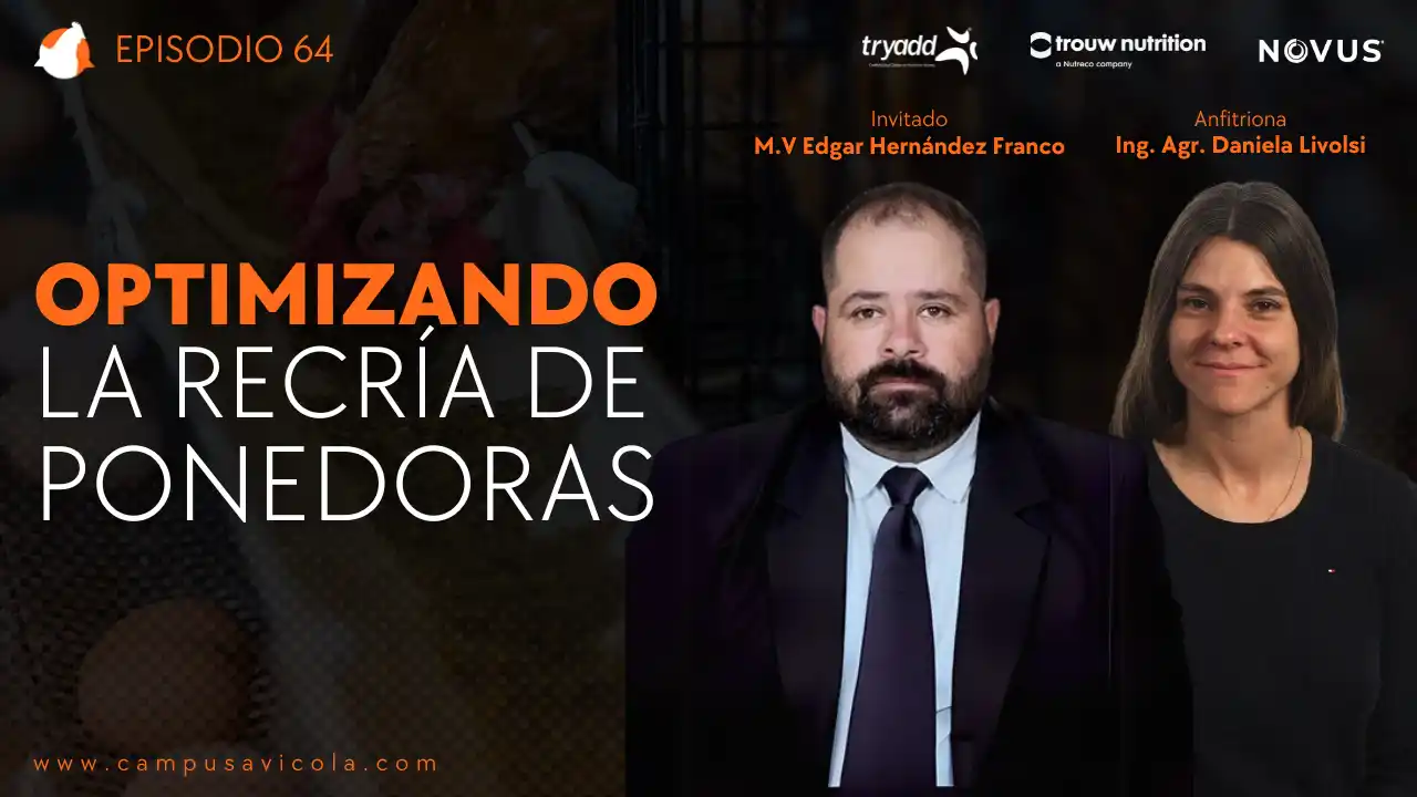AviPodcast #64 – Optimizando la recría de ponedoras – M.V. Edgar Hernández Franco.