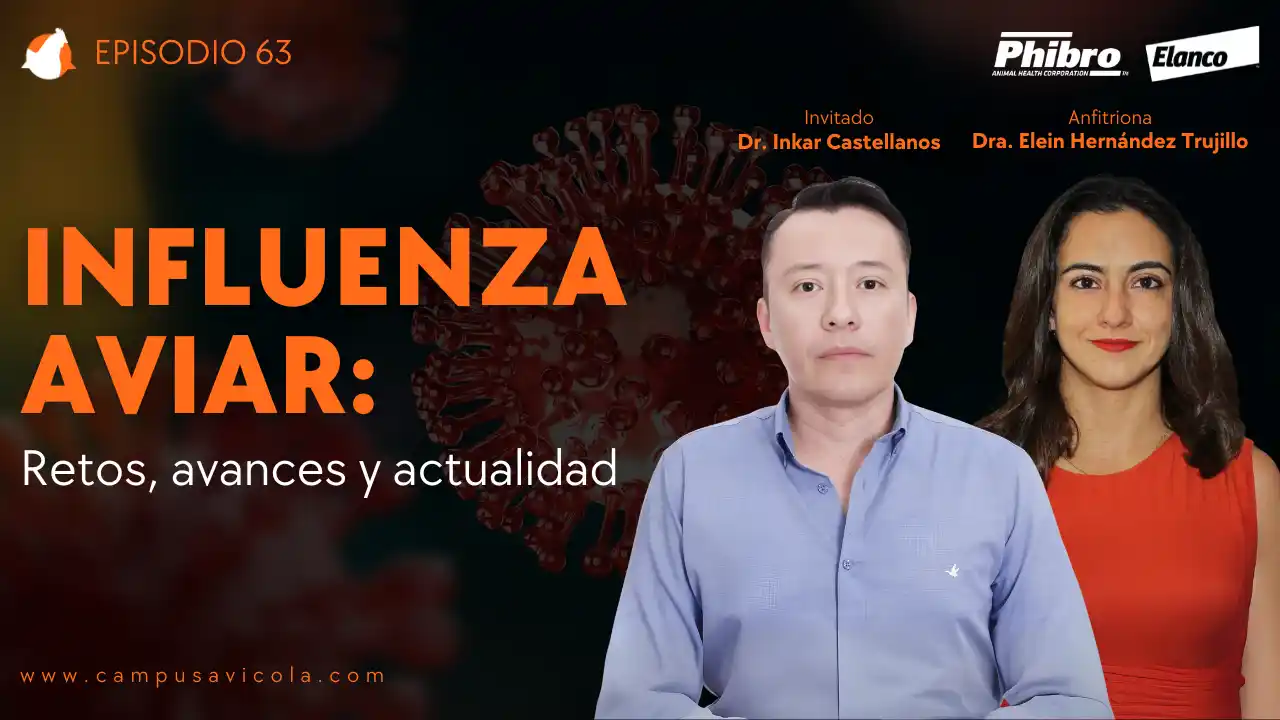 AviPodcast #63 – Influenza aviar: retos, avances y actualidad – Dr. Inkar Castellanos.