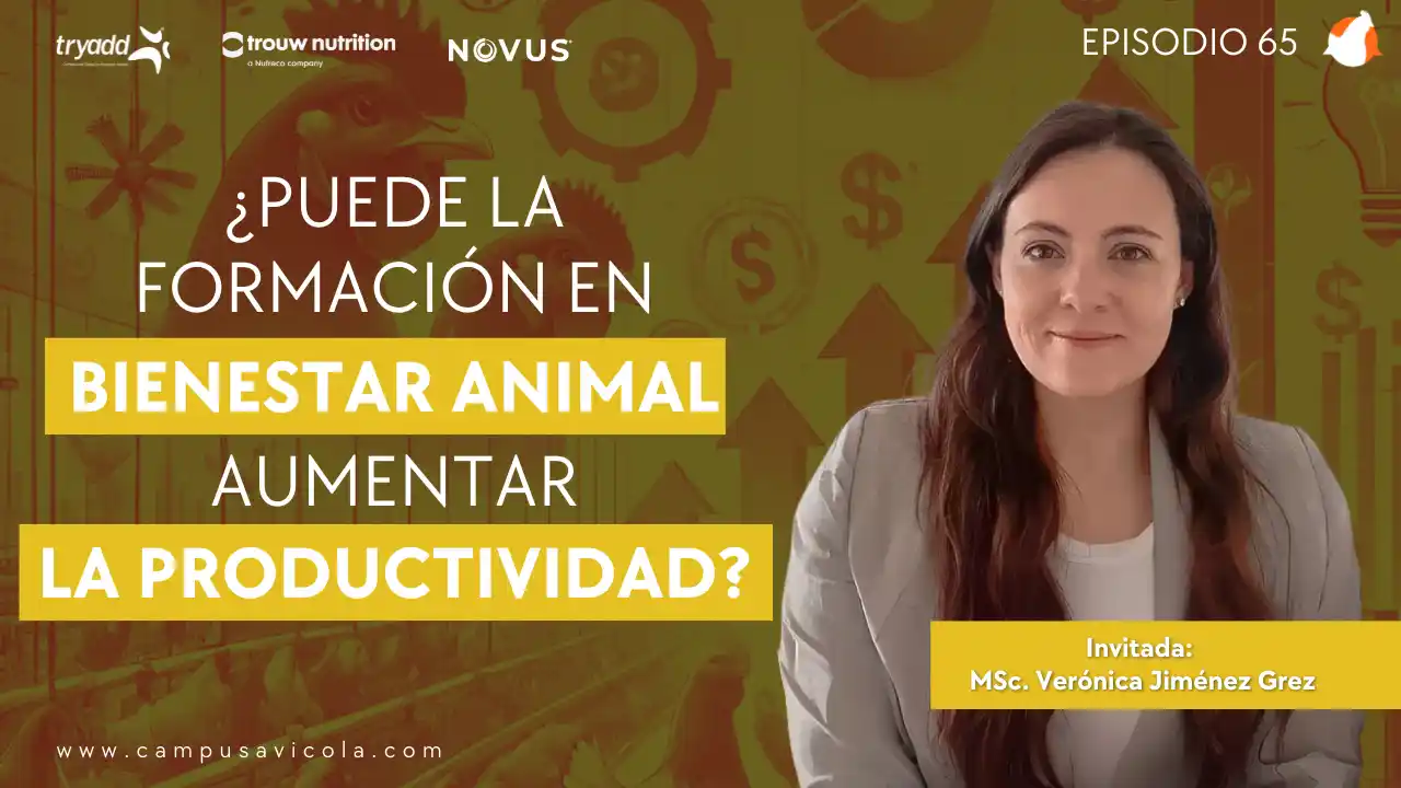 AviPodcast #65 – Capacitación en Bienestar Animal: Clave para una Producción Eficiente y Responsable.