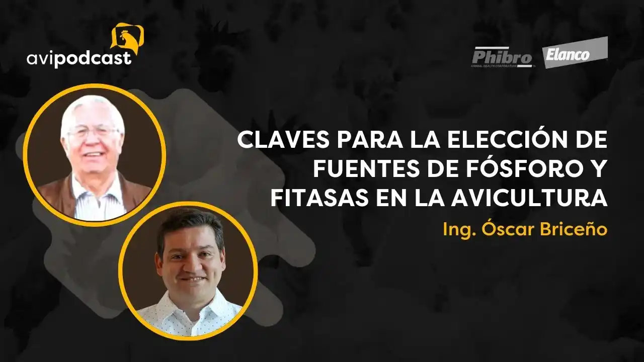 Elección de fuentes de fósforo y fitasas en avicultura - Ing. Óscar Briceño.