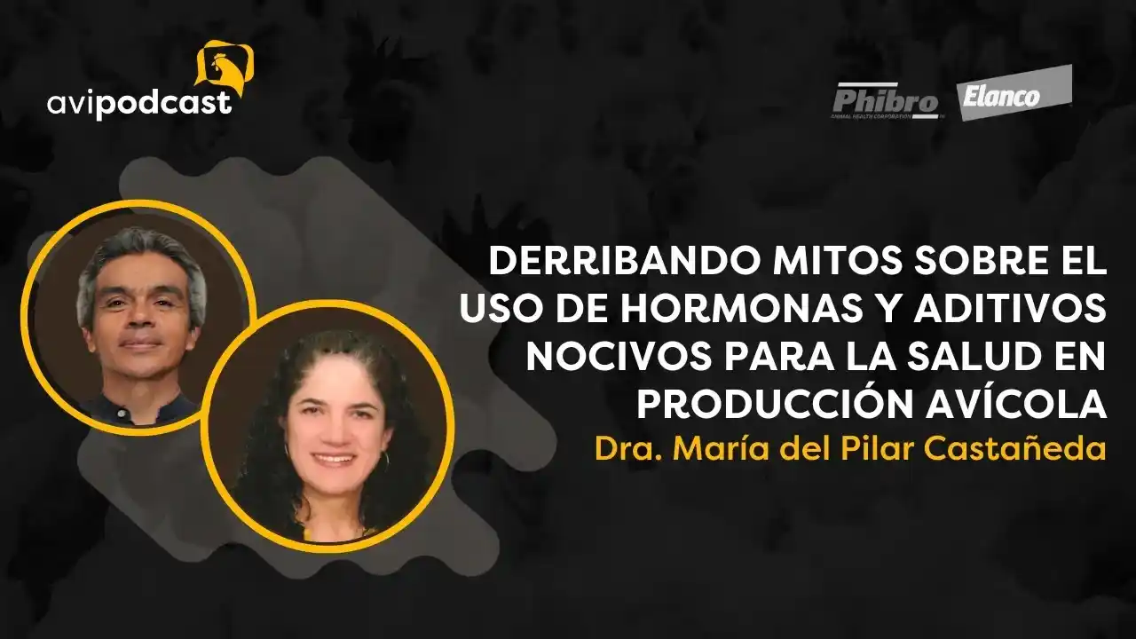 Mitos sobre hormonas y aditivos en producción avícola - Dra. María del Pilar Castañeda.