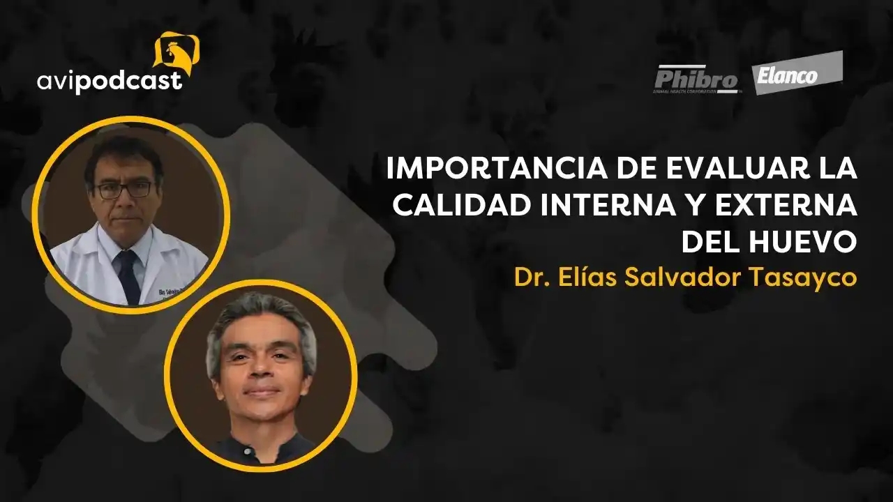 Evaluación de la calidad interna y externa del huevo - Dr. Elías Salvador Tasayco.