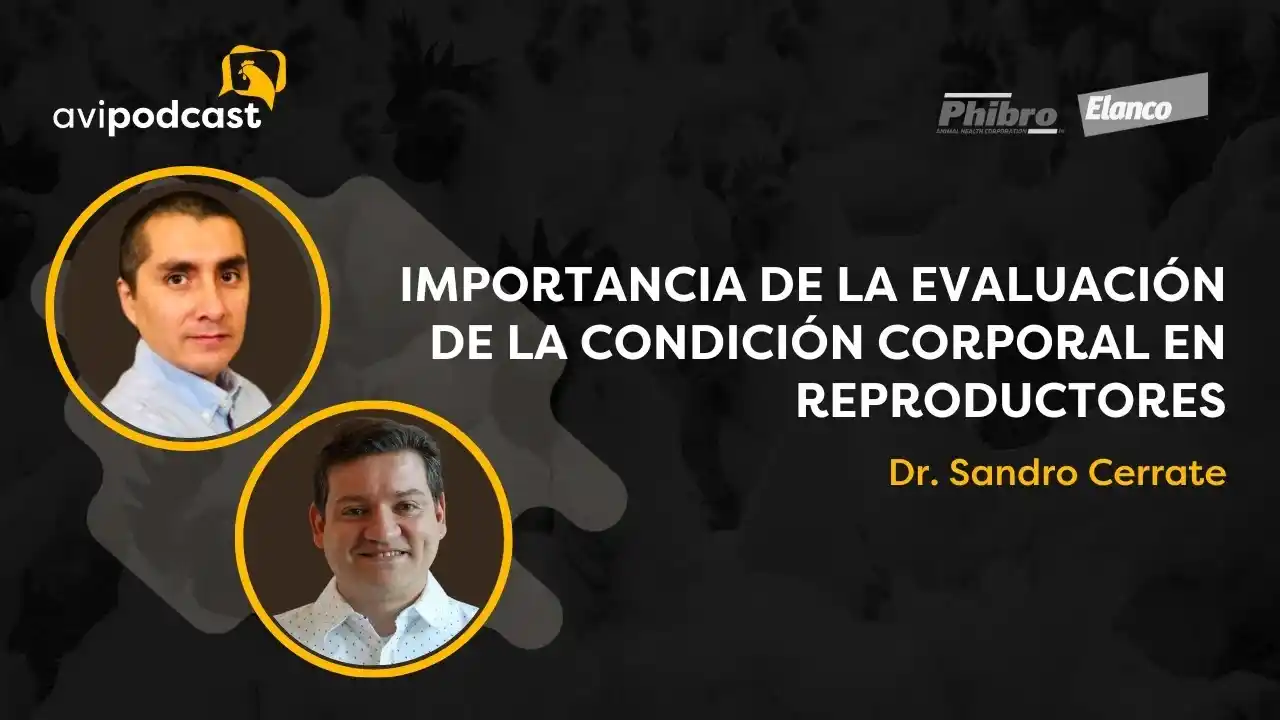 Evaluación de la condición corporal en reproductores - Dr. Sandro Cerrate.