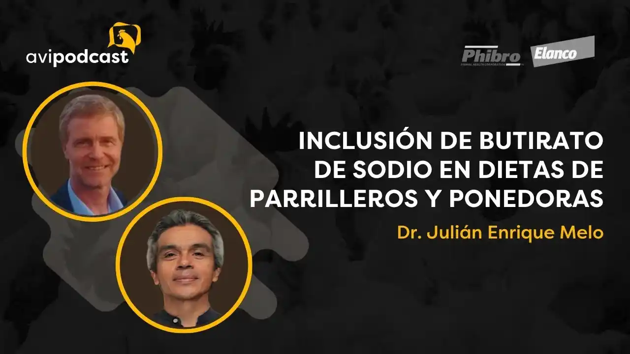 Inclusión de butirato de sodio en dietas de parrilleros y ponedoras - Dr. Julián Enrique Melo.