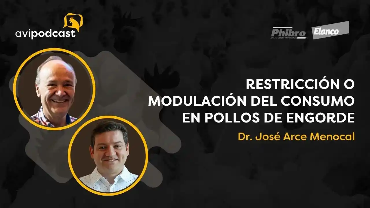 Restricción o modulación del consumo en pollos de engorde - Dr. José Arce Menocal.