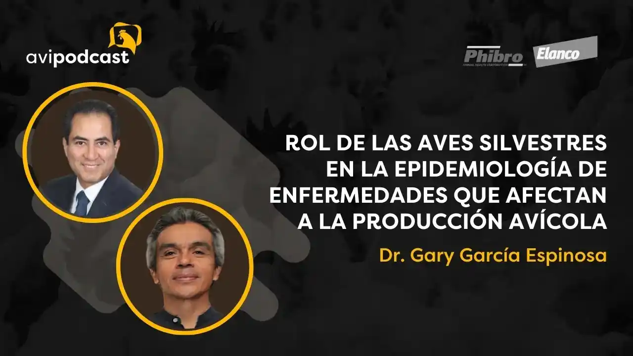 Rol de las aves silvestres en la epidemiología de enfermedades avícolas.