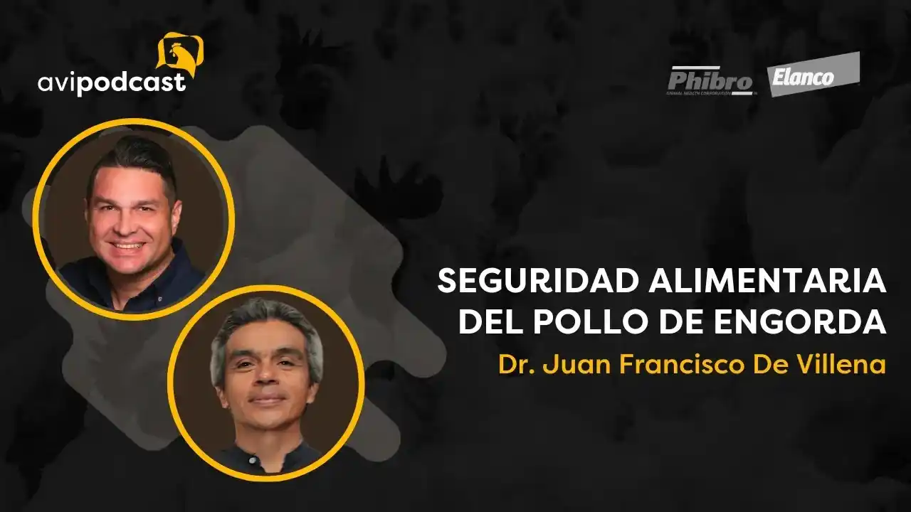 Seguridad alimentaria en pollos de engorde - Dr. Ing. Juan Francisco DeVillena.