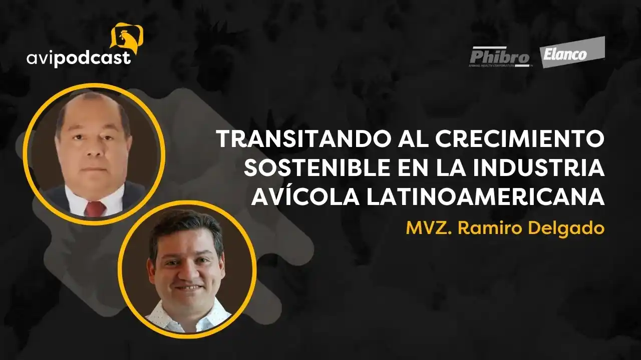 Crecimiento sostenible en la industria avícola Latinoamericana - MVZ Delgado.