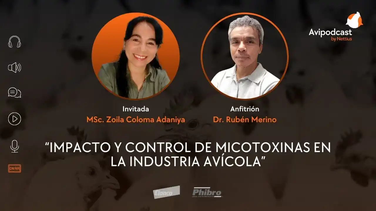 Impacto y control de micotoxinas en la industria avícola - MSc. Zoila Coloma Adaniya.